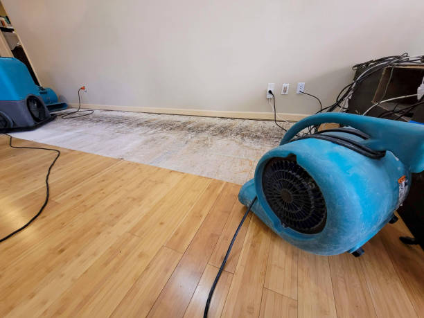 Professional Water Damage Repair technician working in Rittman, OH